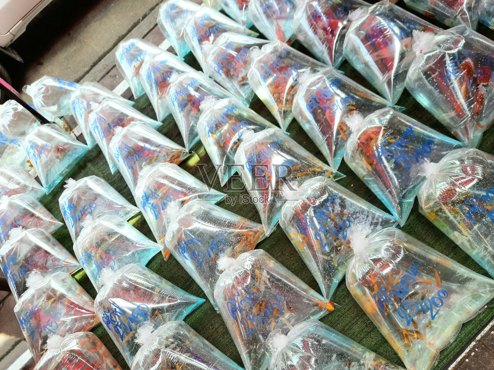 曼谷宠物市场出售塑料袋装的水族鱼。照片摄影图片