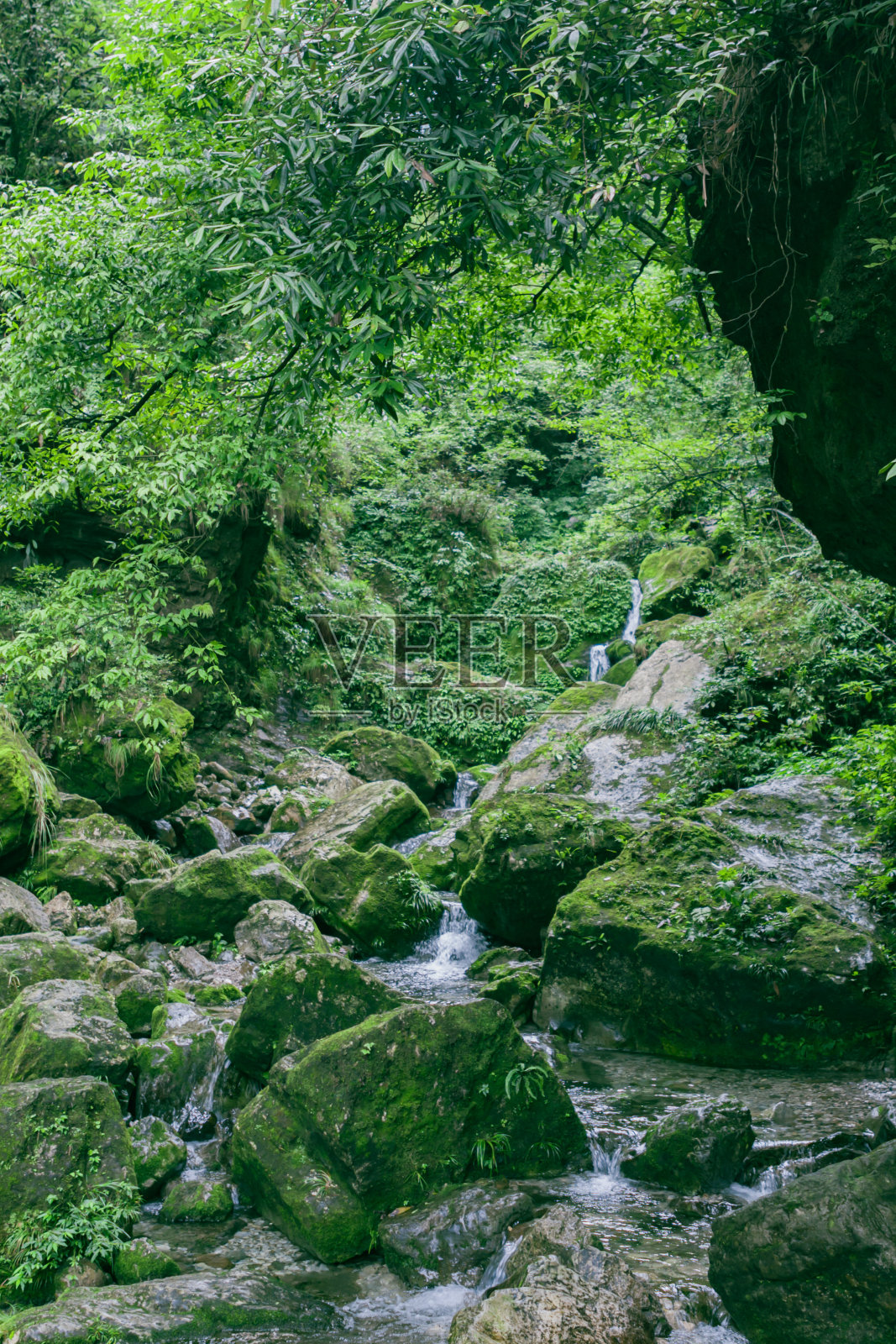 山中小溪，河岸，青苔石，流水照片摄影图片