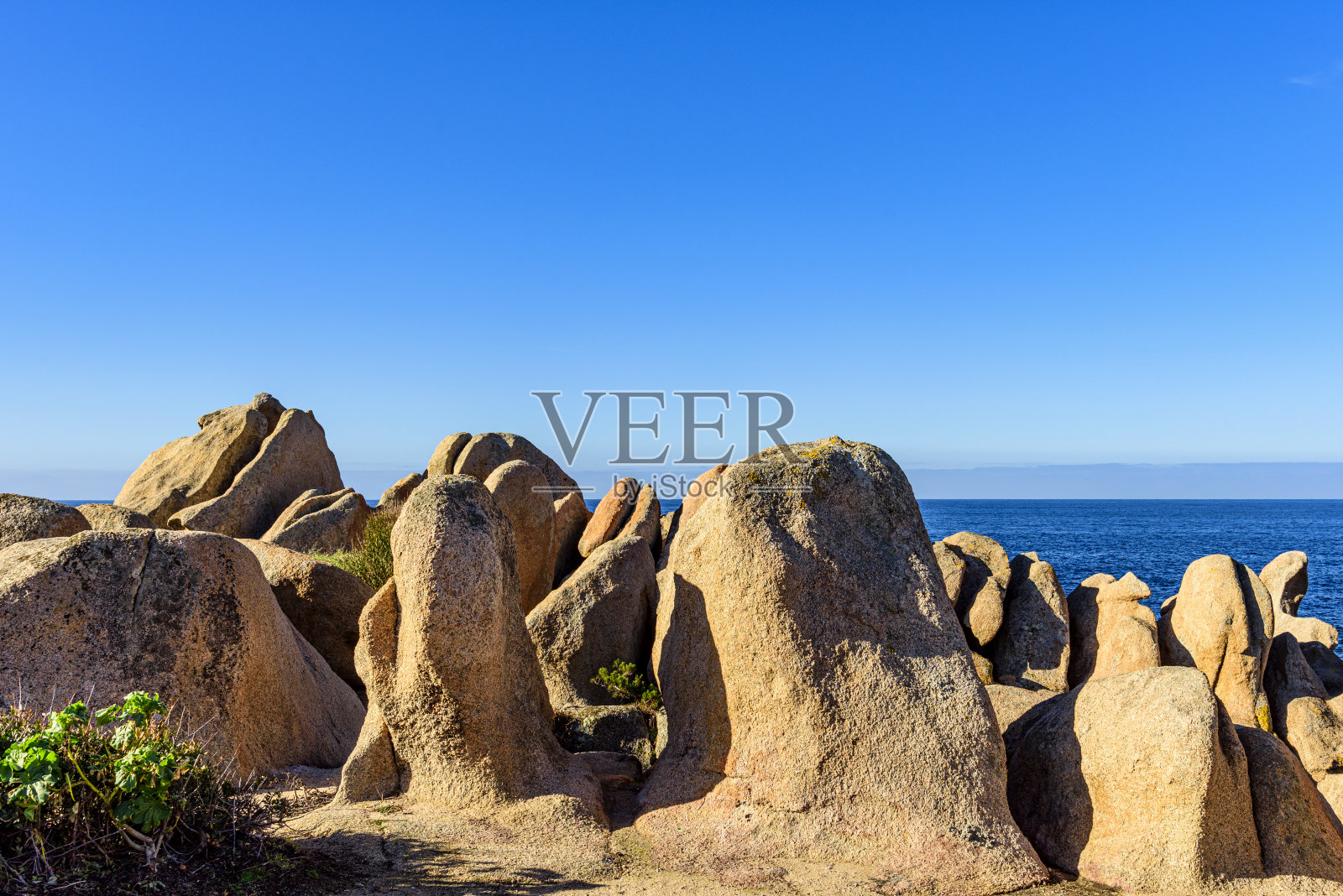 滨海跑照片摄影图片