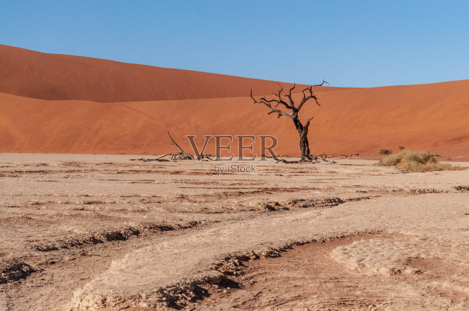 Deadvlei和sossusvlei附近的贫瘠景观照片摄影图片