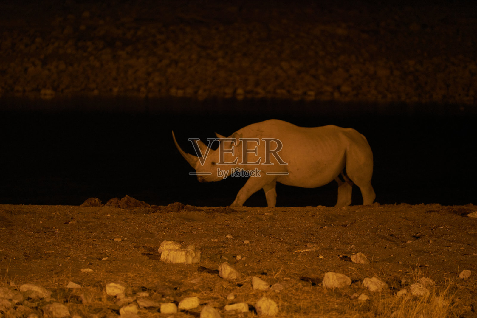 夜晚的水坑照片摄影图片