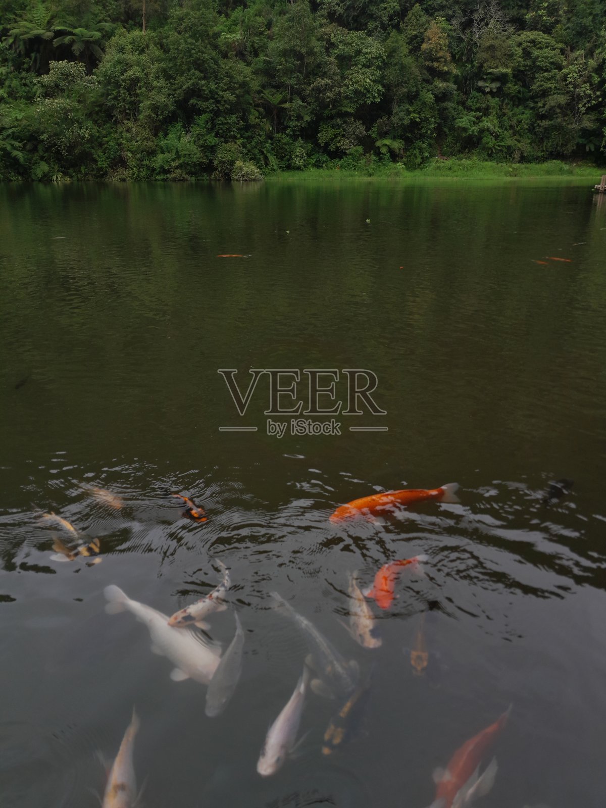 湖地区照片摄影图片