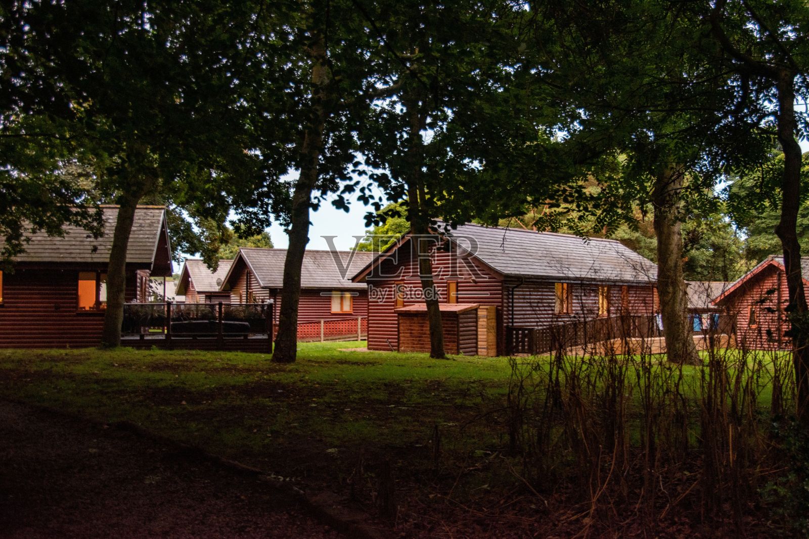 在风景优美的自然环境中，大树映衬着村庄的房屋，它们都是以同样的方式建造的照片摄影图片