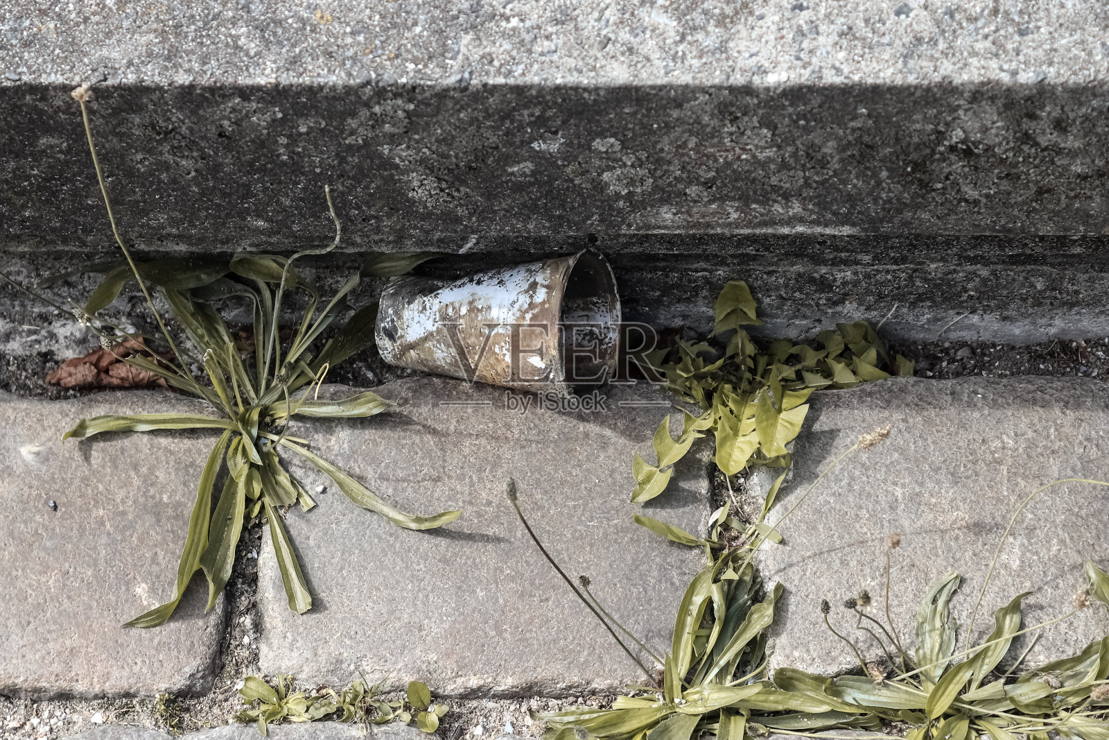 一个塑料杯的特写镜头是人行道角落里的一堆垃圾照片摄影图片