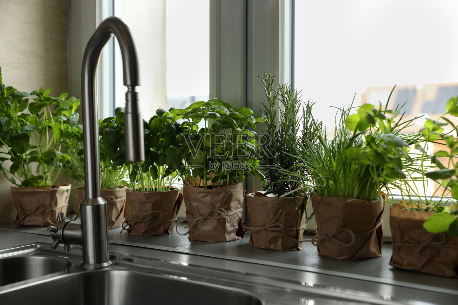 厨房水槽附近的窗台上摆放着不同芳香的盆栽药草照片摄影图片