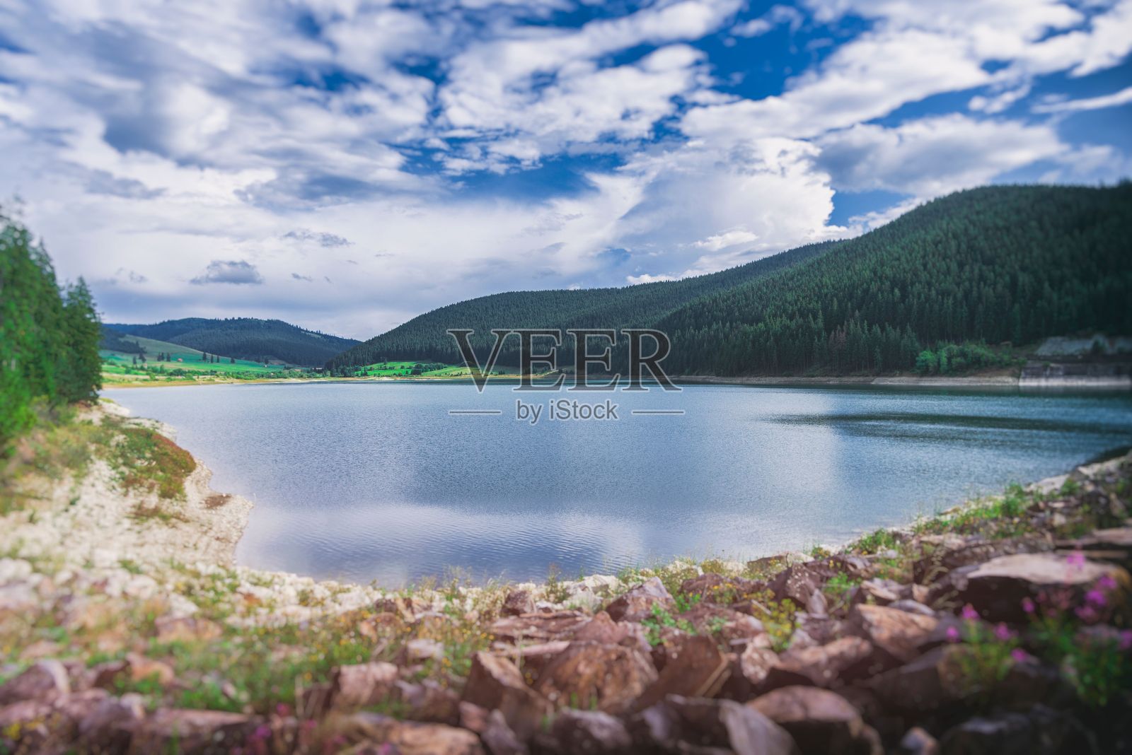 河岸上树木旁边有岩石的河流照片摄影图片