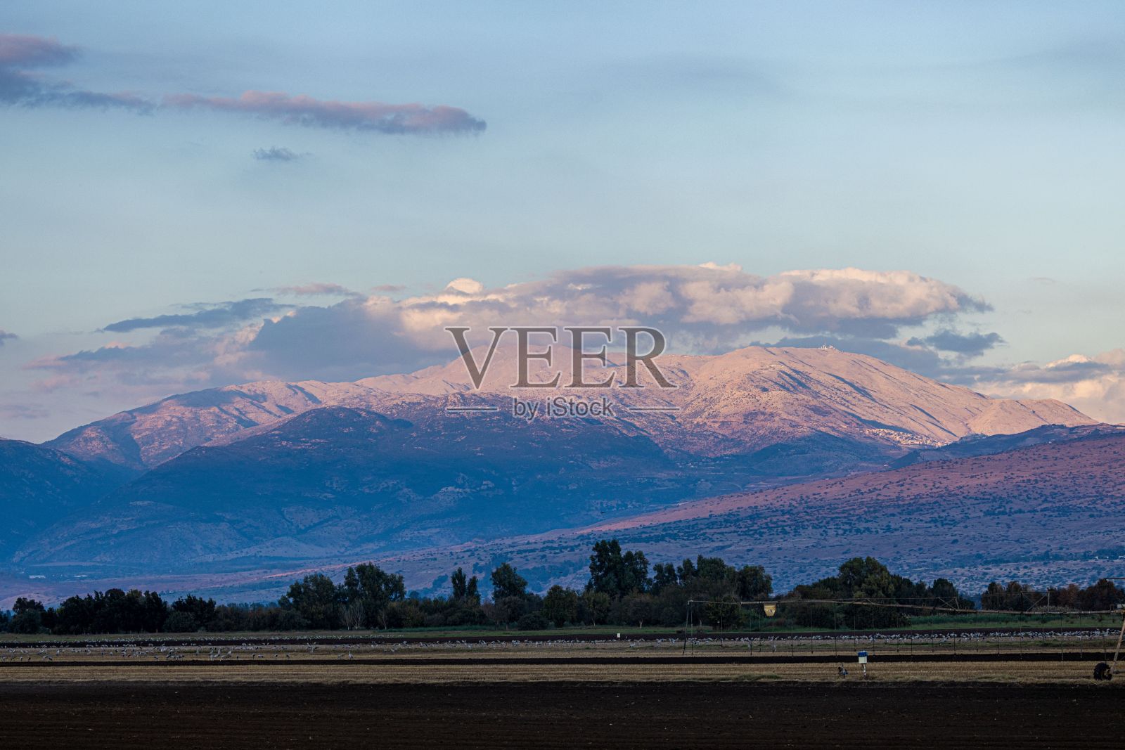 阴天的农田照片摄影图片