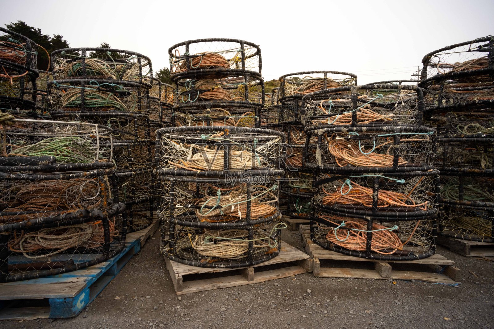 在白色天空下捕捉螃蟹和龙虾的陷阱照片摄影图片