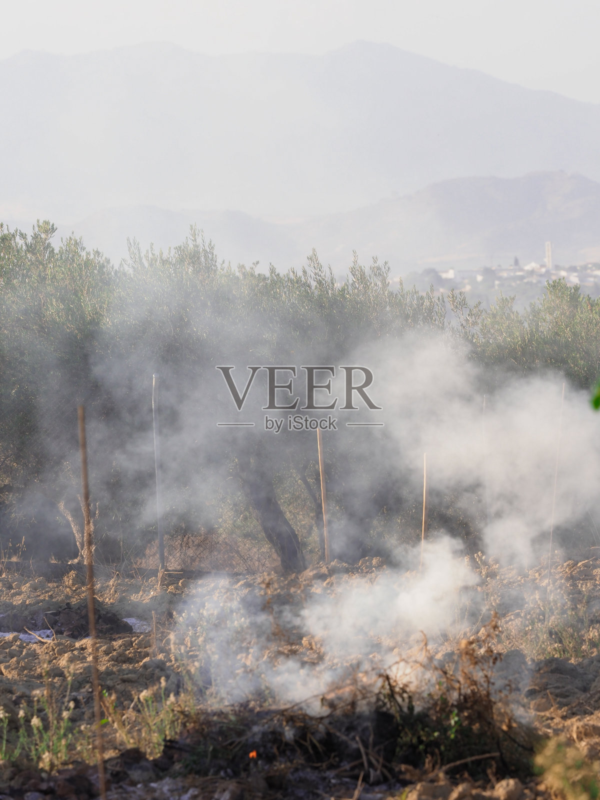 田野里的火冒出的烟照片摄影图片
