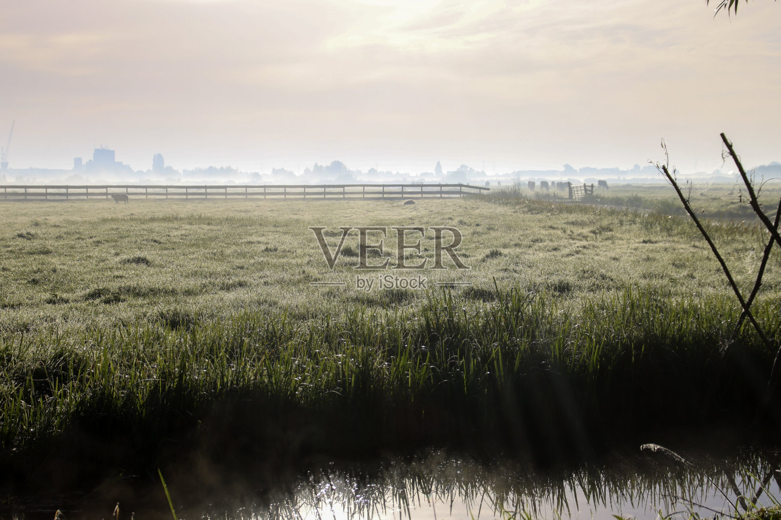 雾气笼罩着gravenweg的田野照片摄影图片