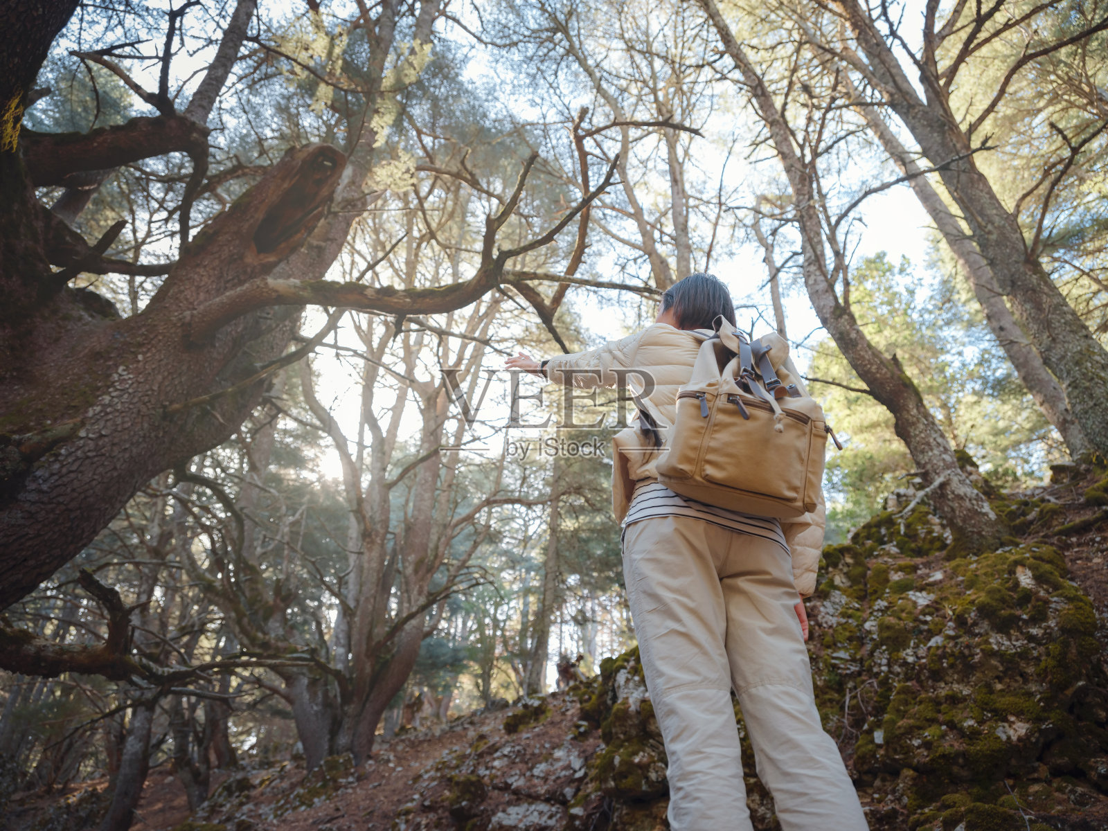 女人享受自然，山林秀美照片摄影图片