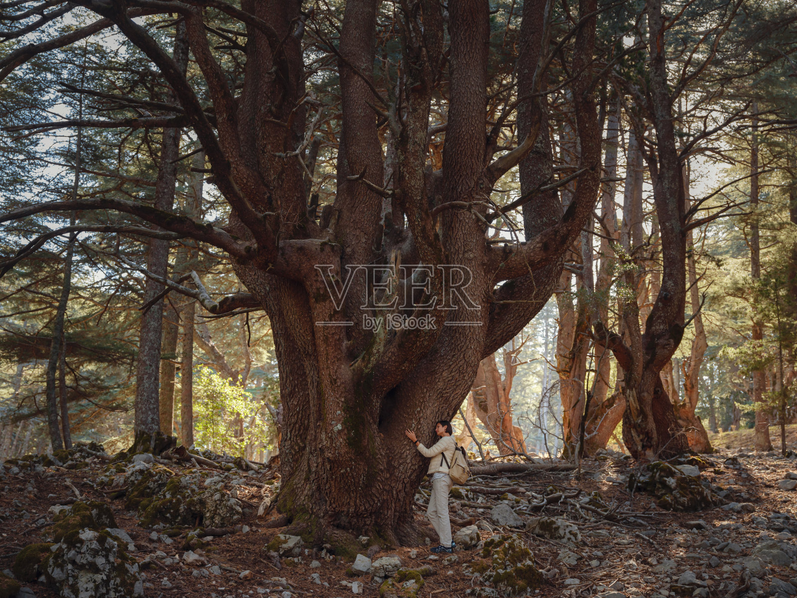 女人享受自然，山林秀美照片摄影图片