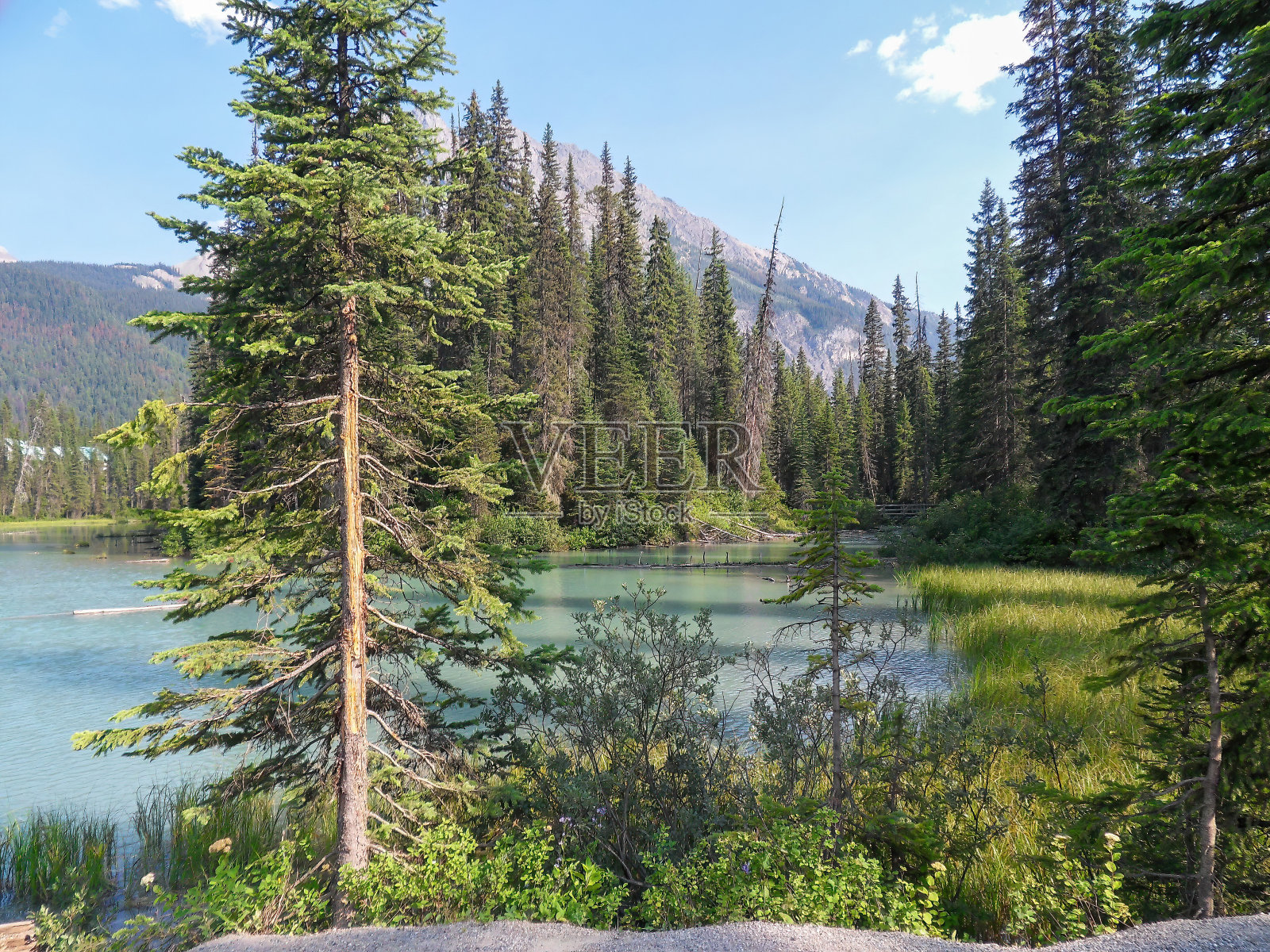 加拿大班夫国家公园的景观。照片摄影图片