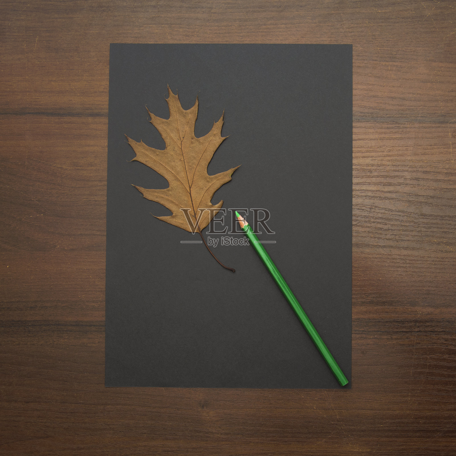 一支漂亮的铅笔躺在一个神奇的背景上照片摄影图片