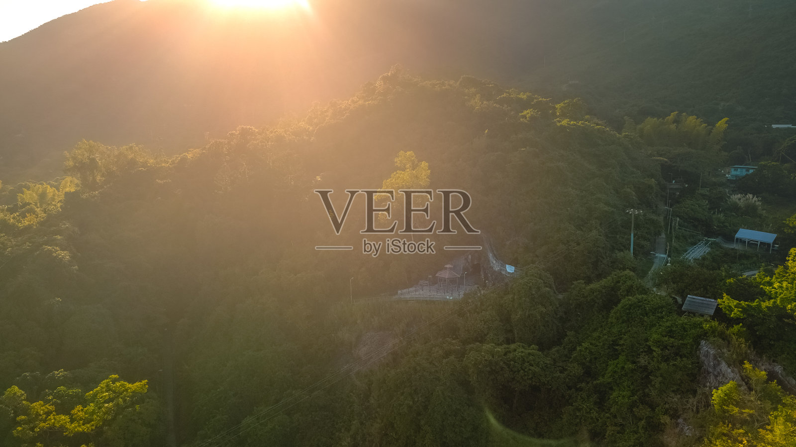 植物性景观，自然观照片摄影图片