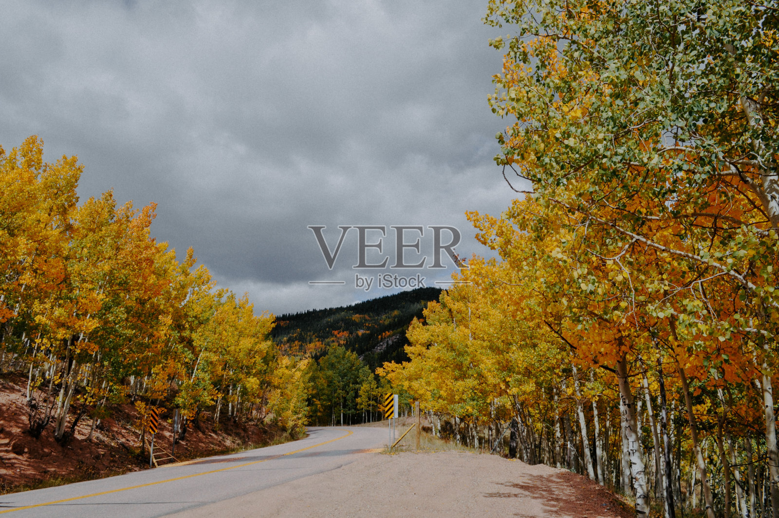 金腰带小路照片摄影图片