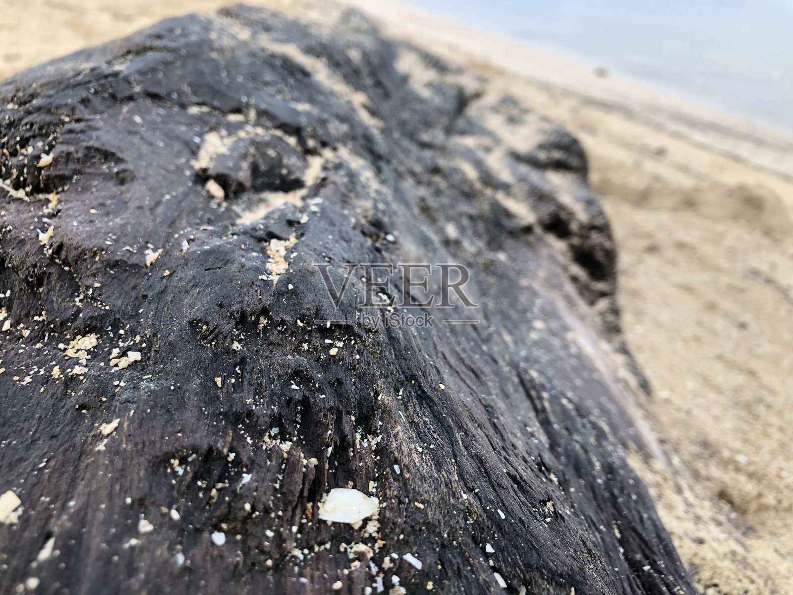 木材纹理照片摄影图片