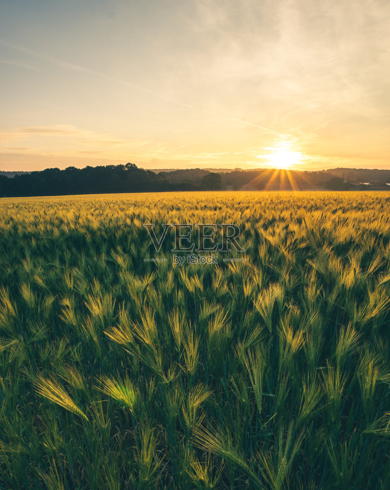 日落时分田野的美丽照片照片摄影图片