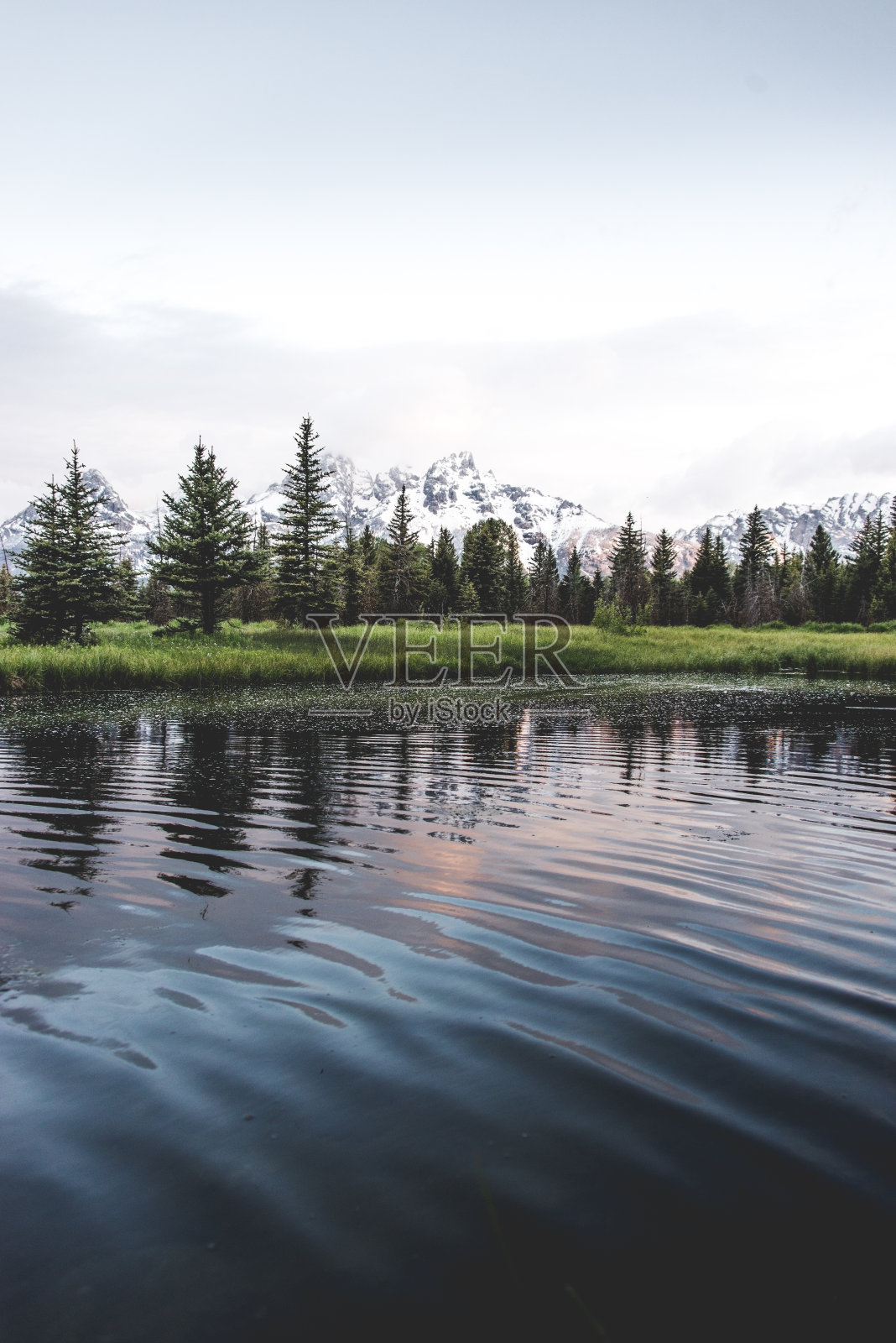 公园里美丽的湖被绿色和树木环绕照片摄影图片