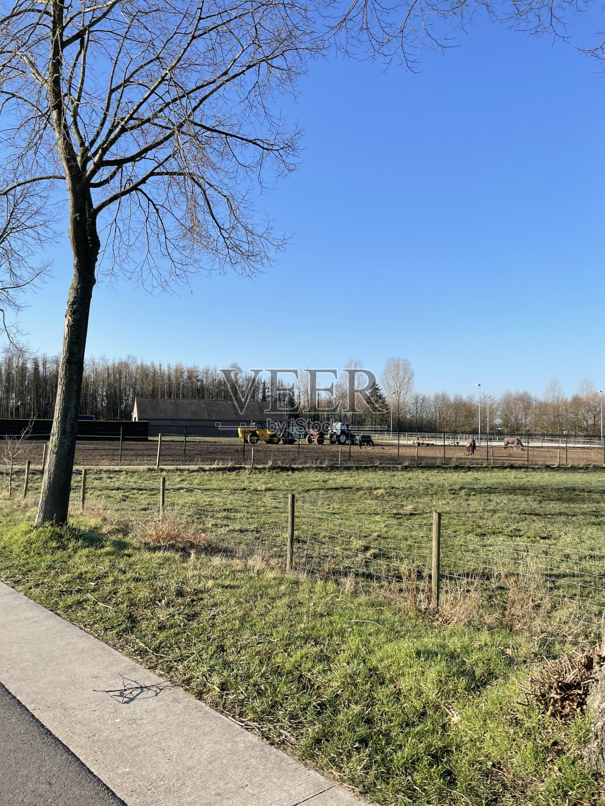 在明亮的天空下，有树木和拖拉机的自然景观的垂直镜头照片摄影图片