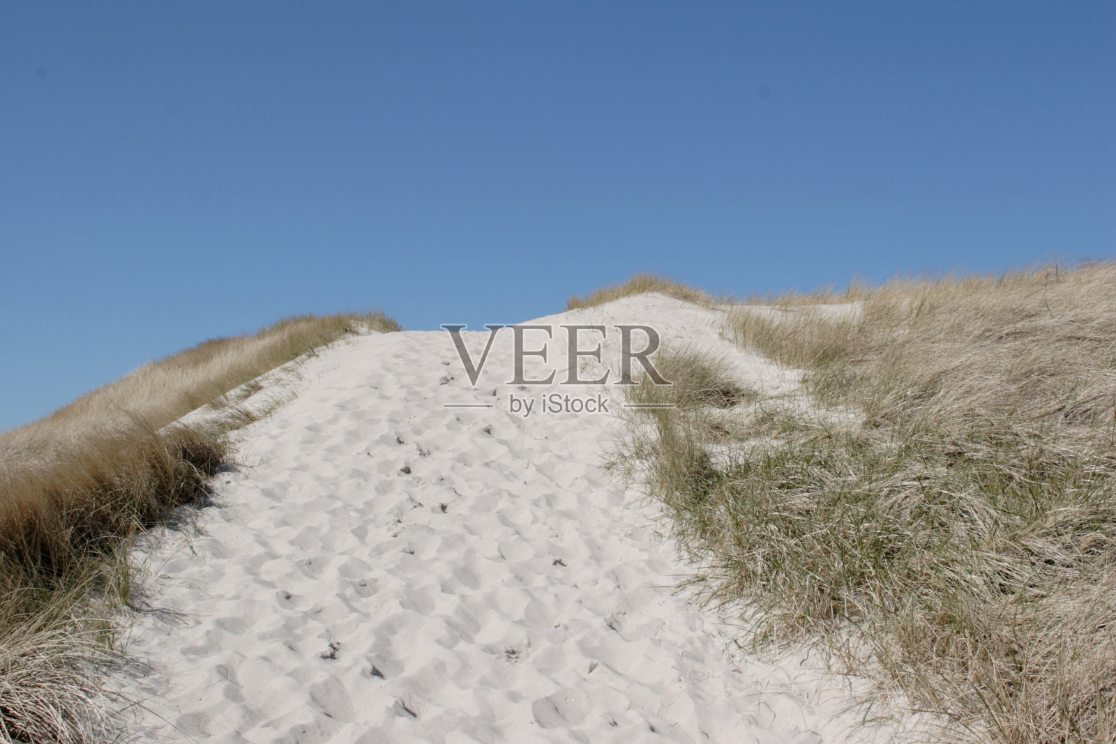蓝天下美丽的沙丘和草地照片摄影图片