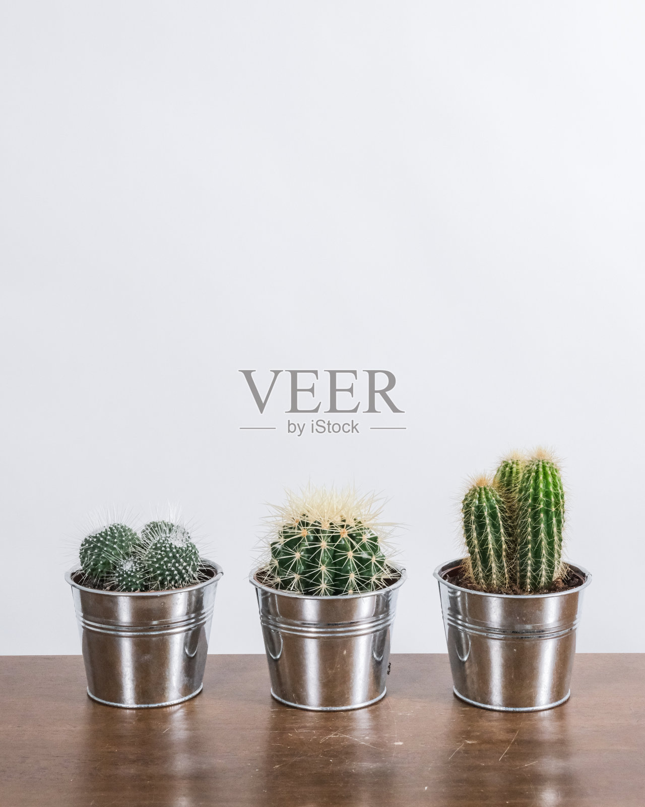 不同类型的盆栽仙人掌在木桌和白色的墙壁背景照片摄影图片