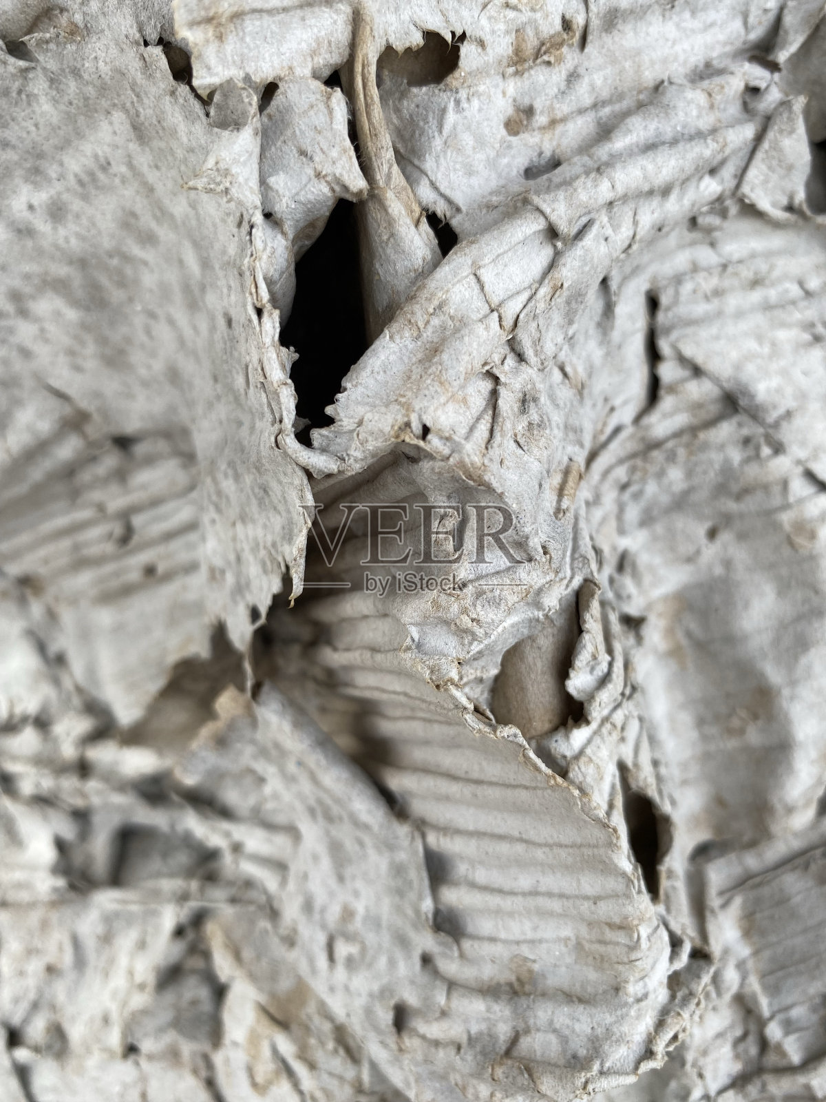 使用纸板照片摄影图片