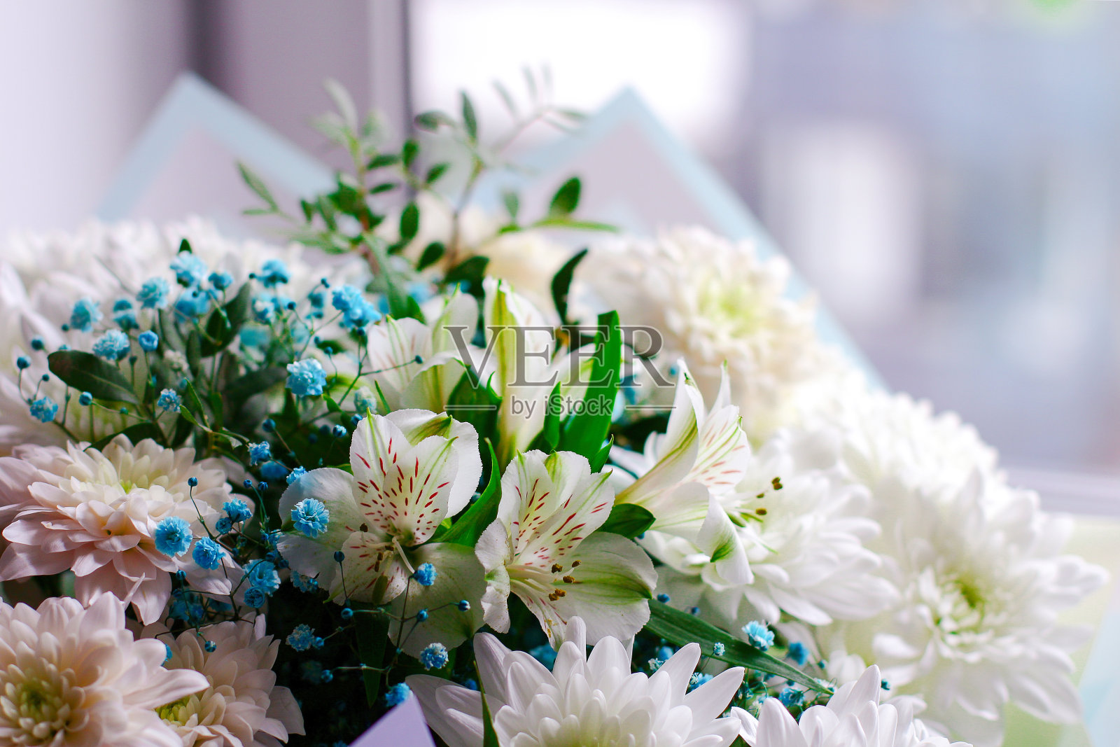 一束不同的鲜花，概念祝贺节日的到来照片摄影图片