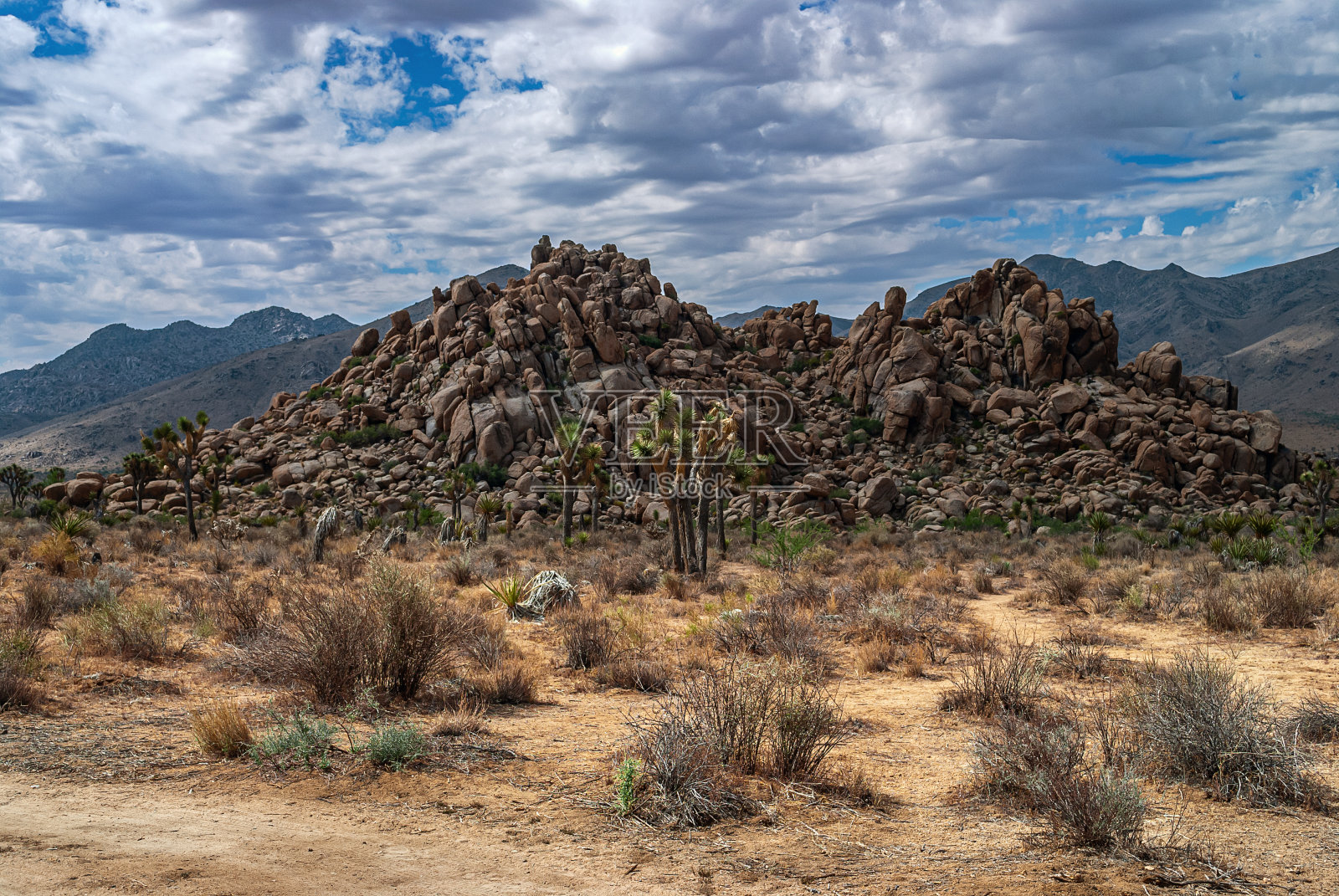 约书亚视图照片摄影图片