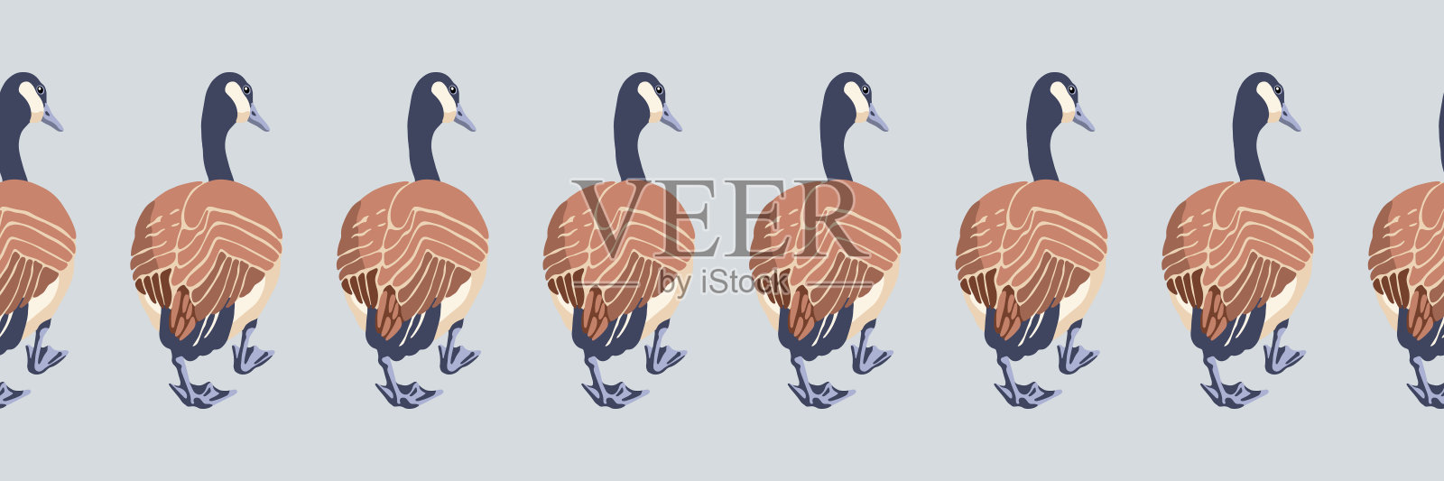 加拿大鹅。无缝边界的加拿大鹅返回。英式图案。复古风格的彩色鸟。矢量插图。插画图片素材