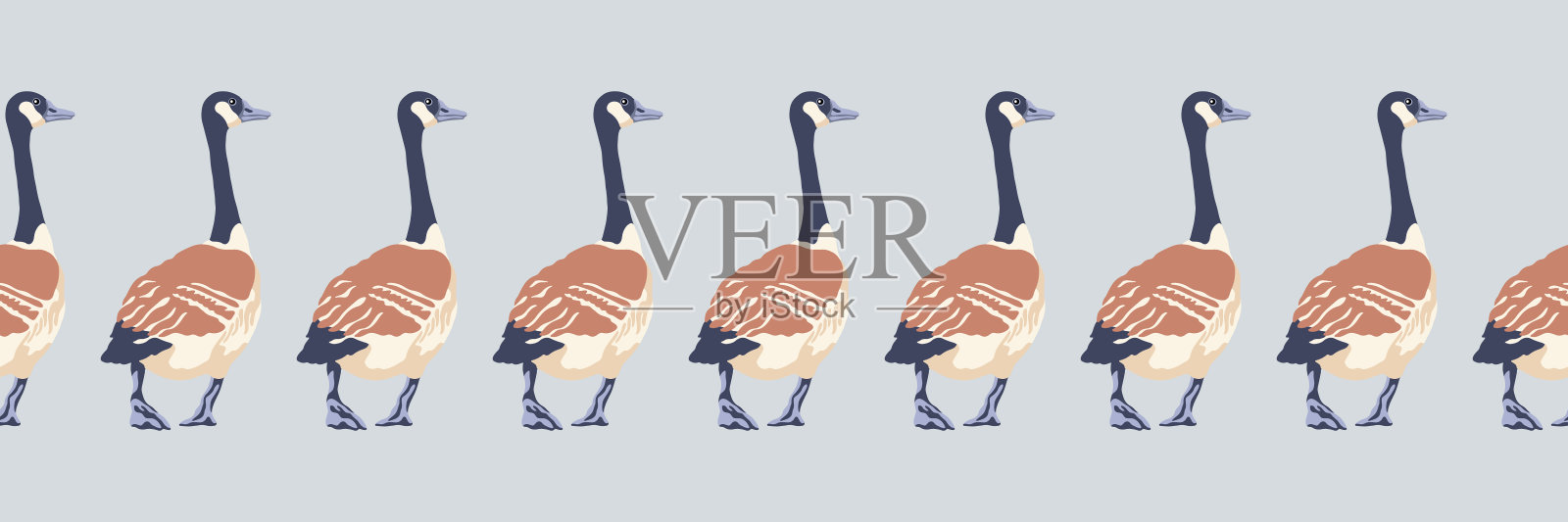 加拿大鹅。大雁回迁的无缝边界。英式图案。复古风格的彩色鸟。矢量插图。插画图片素材