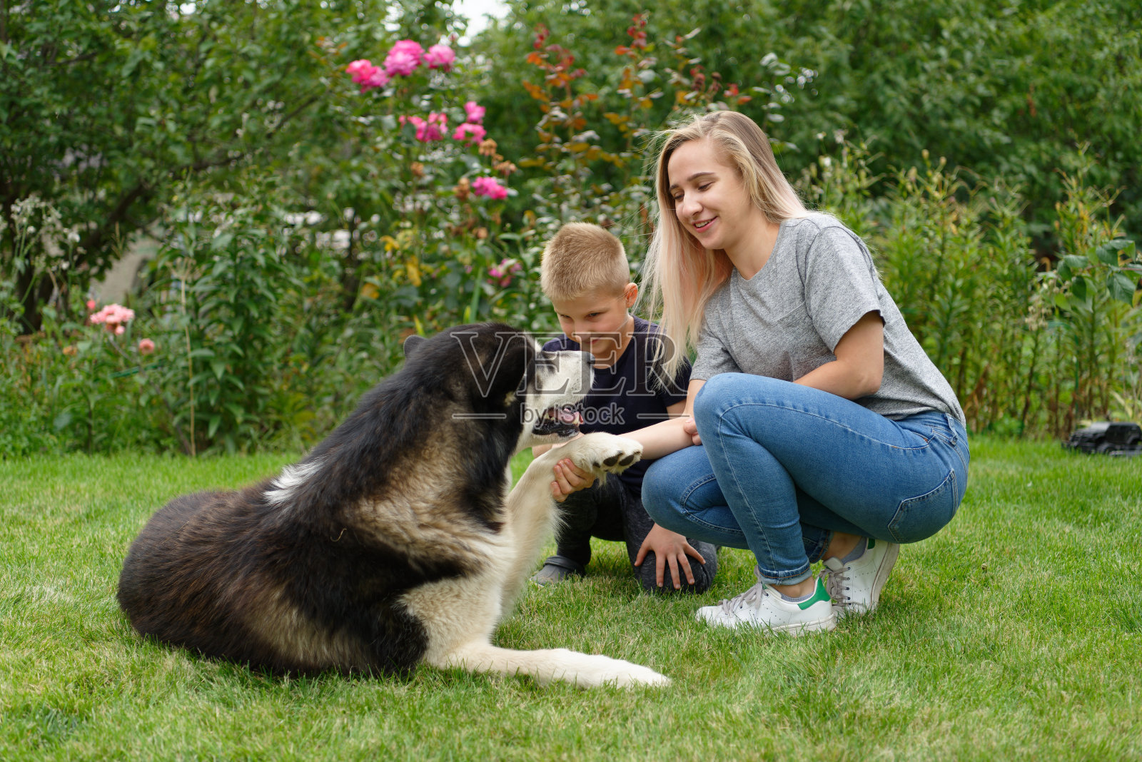 一个男孩和一个女孩带着一条狗照片摄影图片