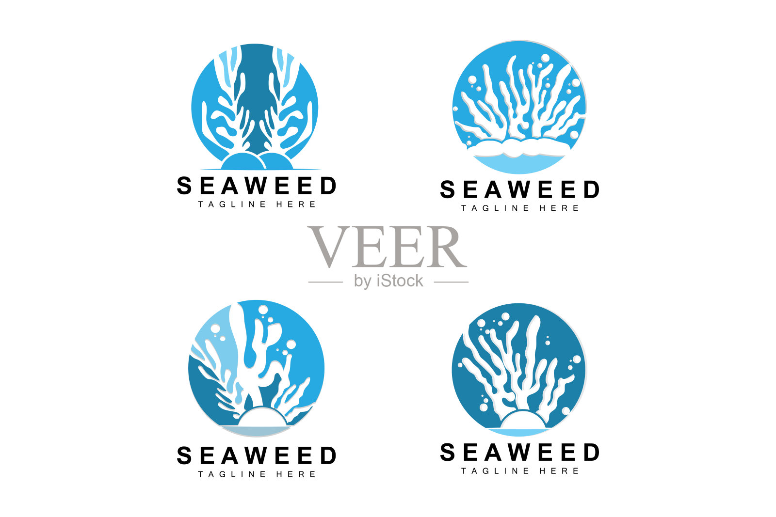 海藻标志设计，水下植物插图，化妆品和食品成分插画图片素材