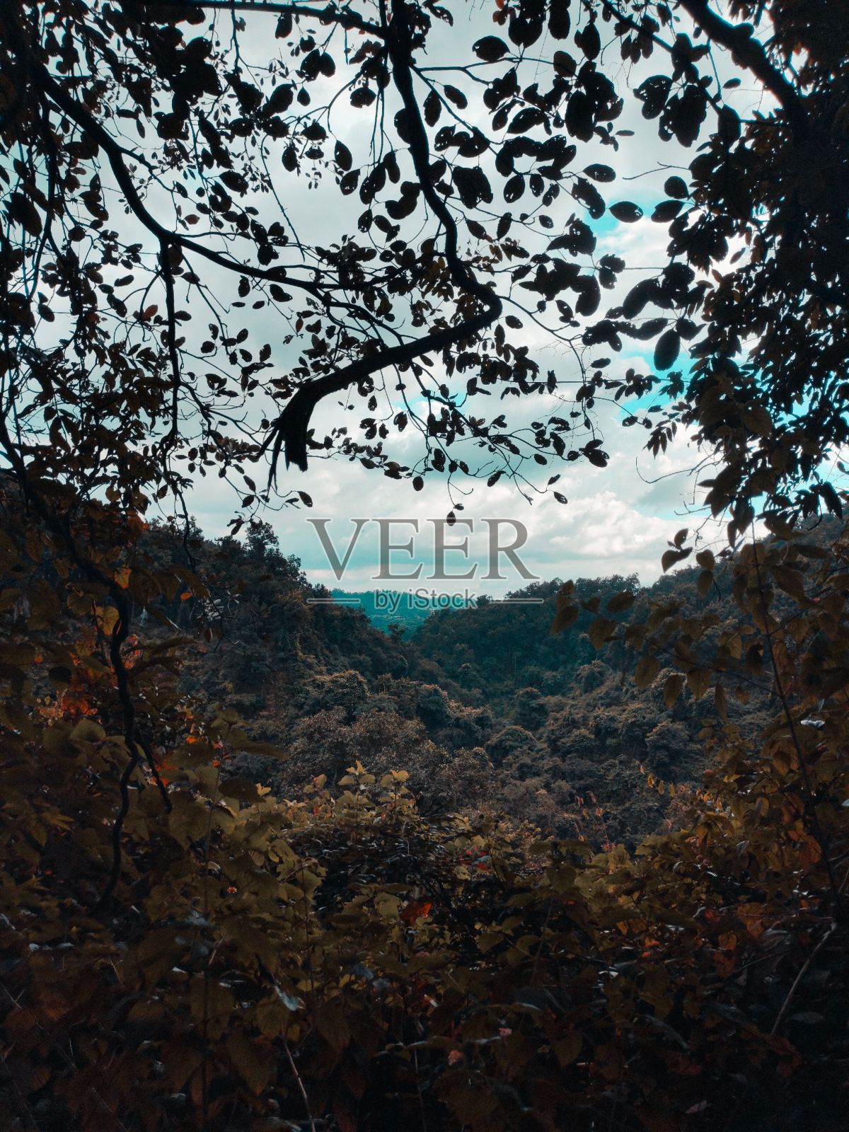 垂直拍摄的山区森林在秋天与多云的天空在德拉顿，印度照片摄影图片