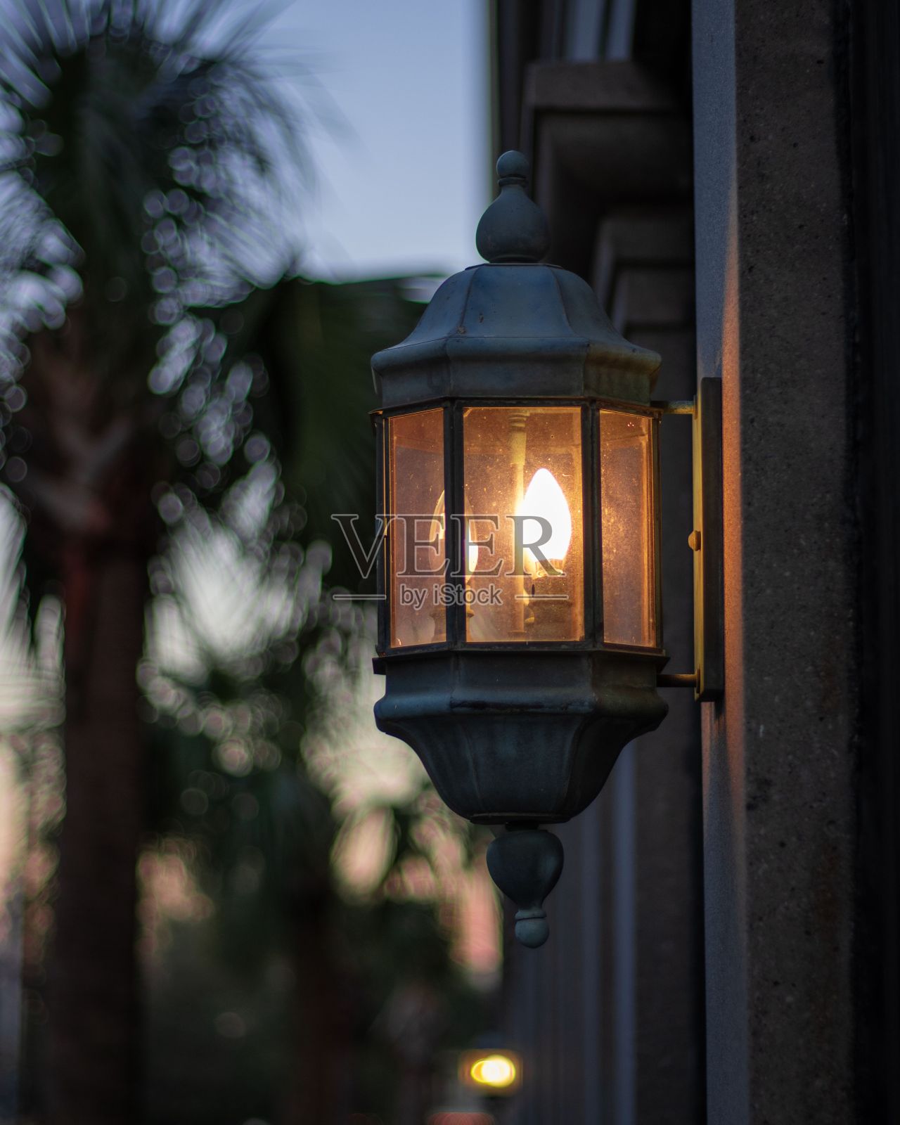 特写的路灯附在一堵墙与棕榈树的背景照片摄影图片