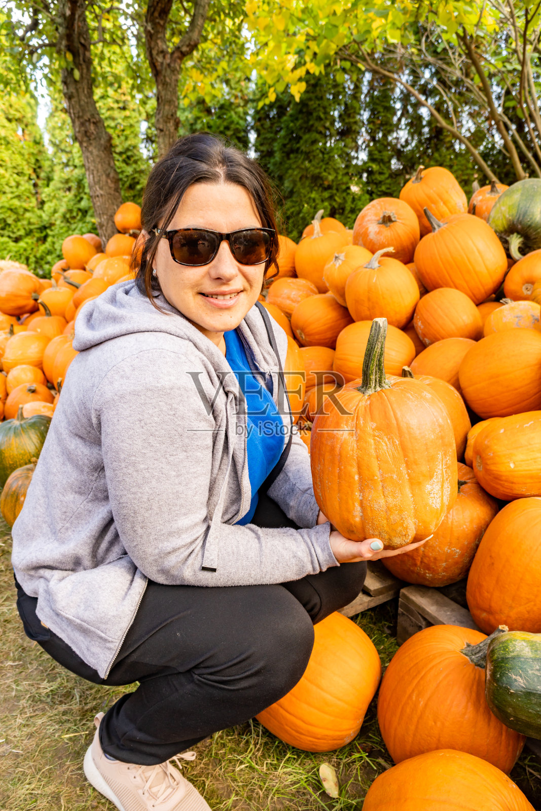 特写镜头是一名女子手里拿着一个南瓜，蹲在一堆南瓜旁边照片摄影图片