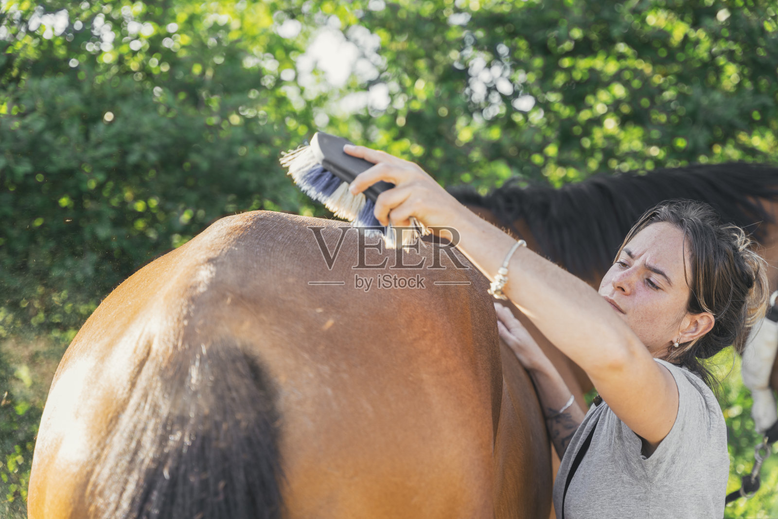 马术运动的女性梳理马照片摄影图片