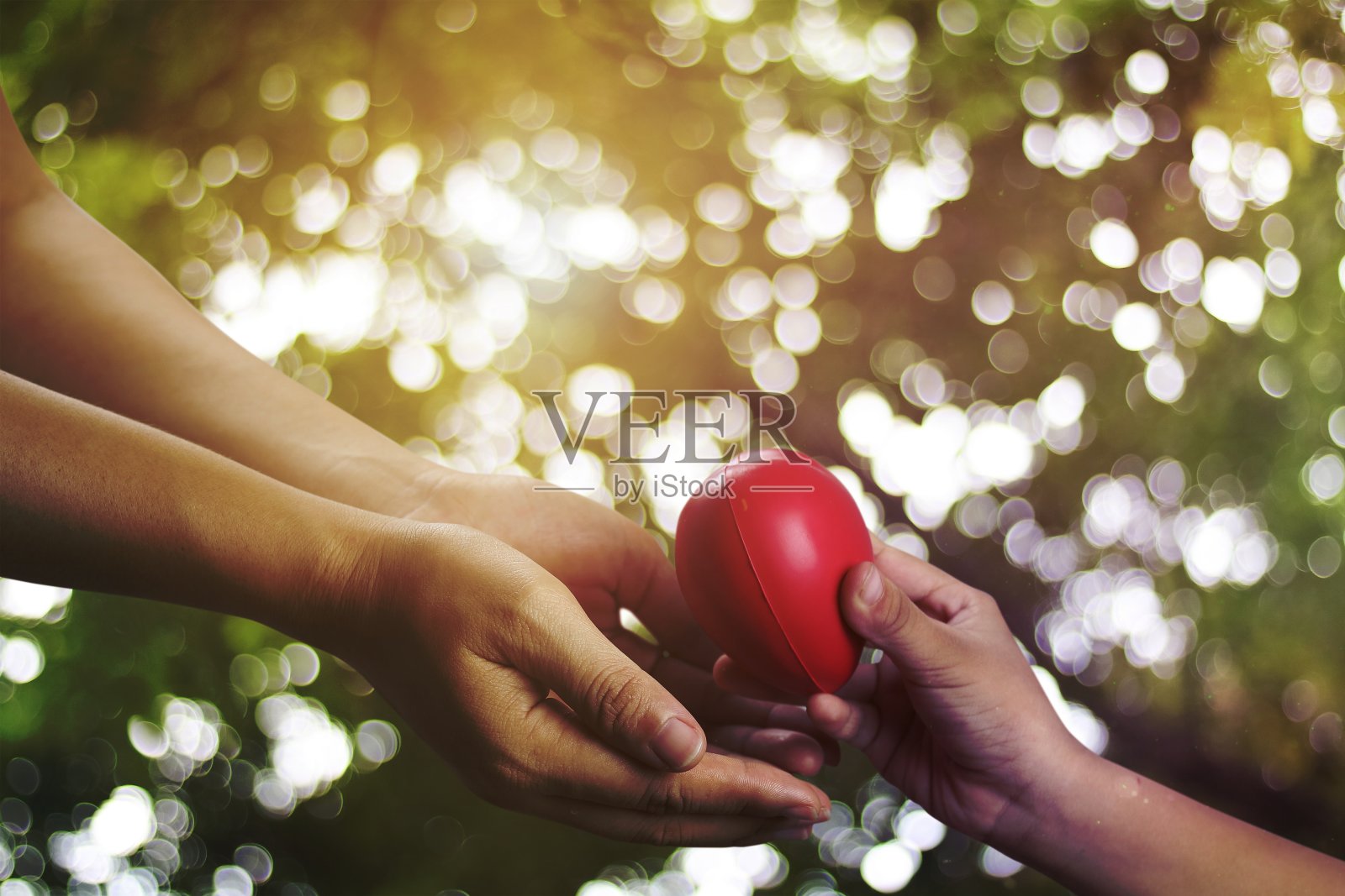 拉近小孩子的手，给妈妈红心，爱和家庭的概念照片摄影图片