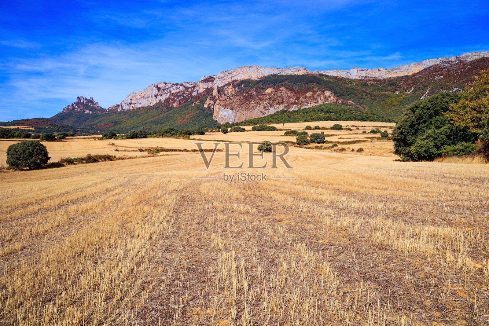 农村领域照片摄影图片