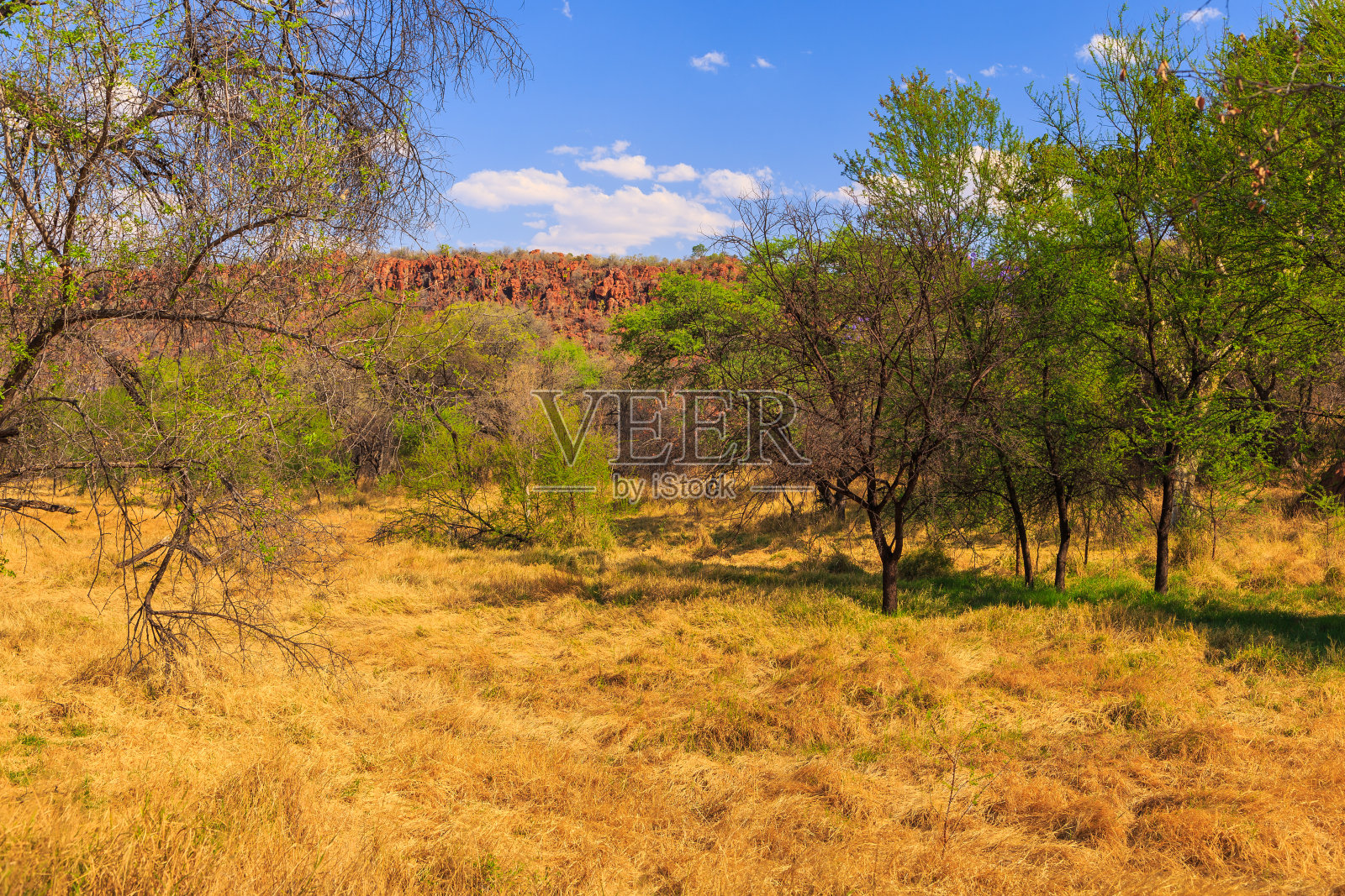 沃特堡高原国家公园，喀拉哈里，Otjiwarongo，纳米比亚，非洲。照片摄影图片