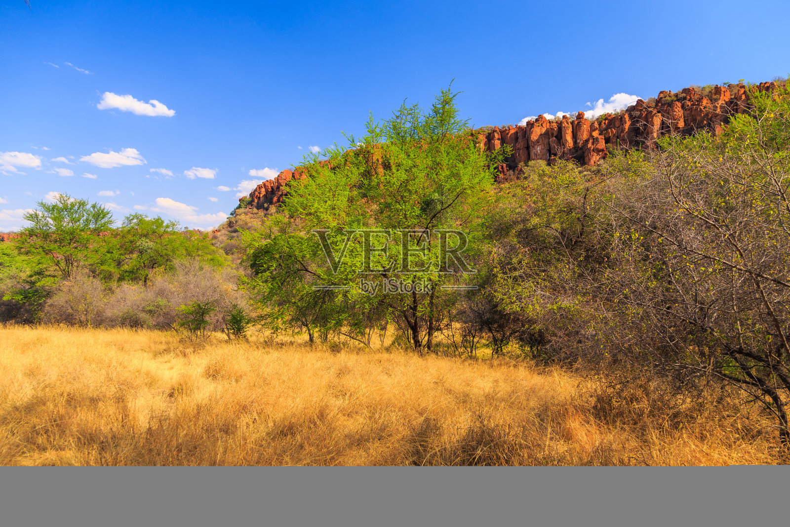 沃特堡高原国家公园，喀拉哈里，Otjiwarongo，纳米比亚，非洲。照片摄影图片