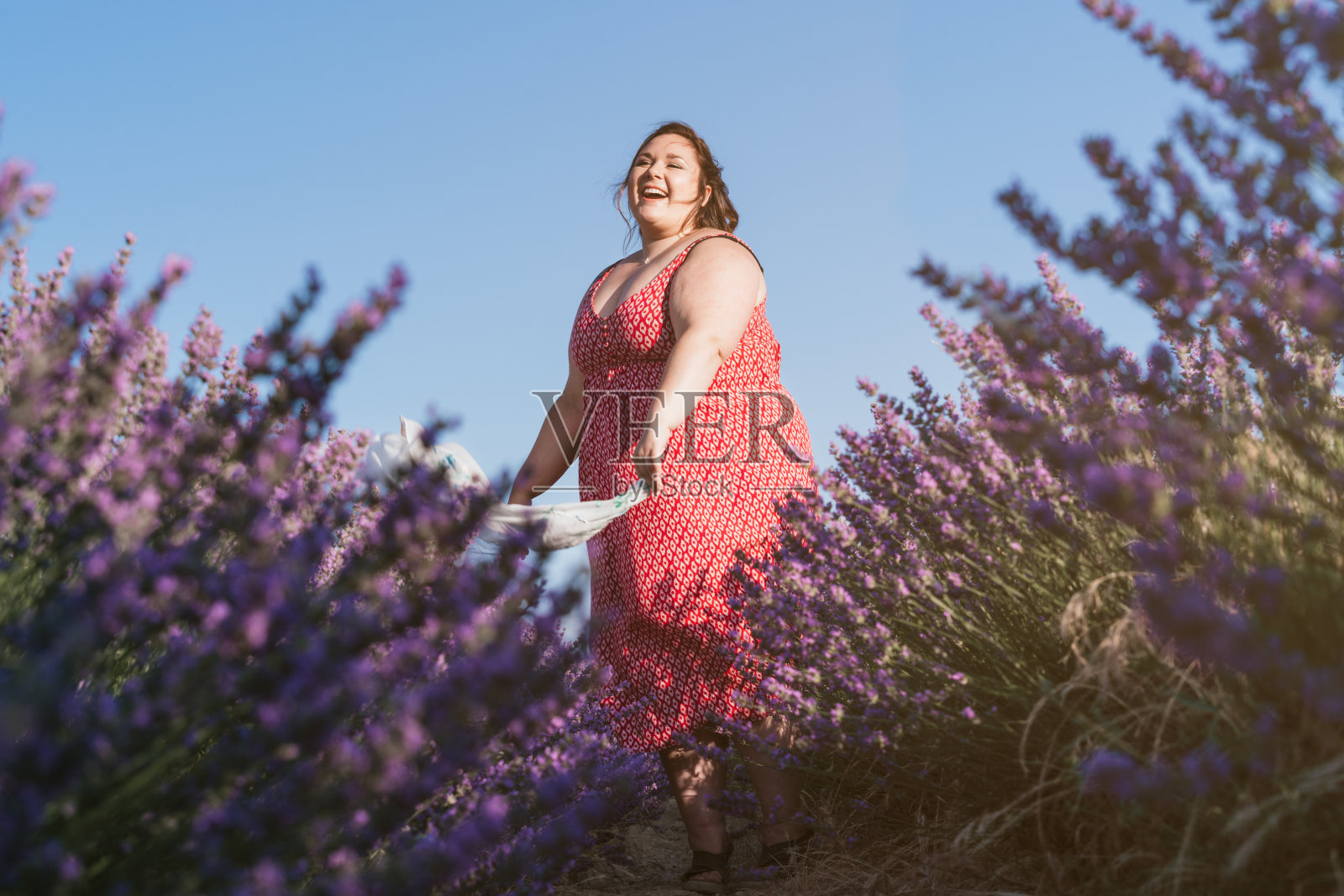 一张美丽的照片，一位女性在满是紫色花朵的田野里摆姿势照片摄影图片