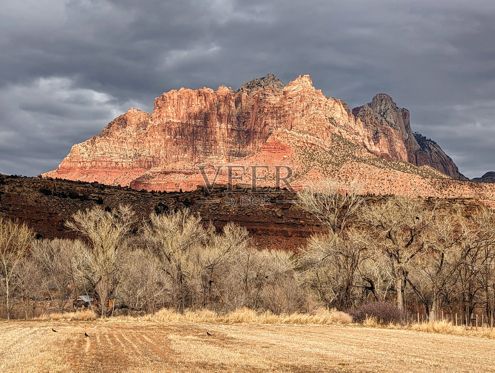 在罗克维尔的锡安国家公园俯瞰维珍河和基内萨瓦山，在冬天的一个光秃秃的牧场照片摄影图片
