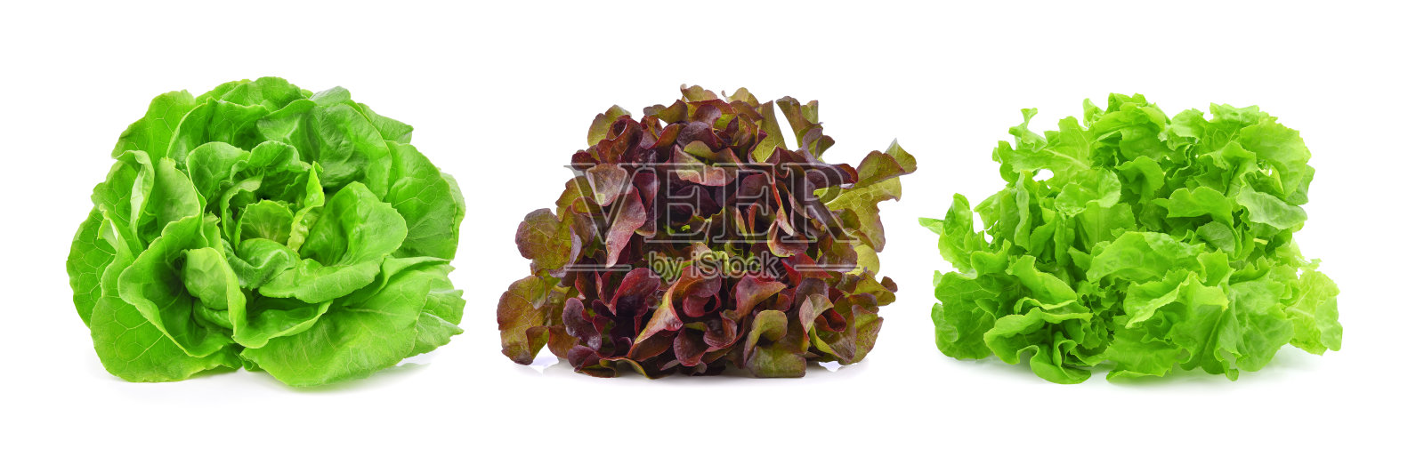 新鲜有机生菜孤立在白色照片摄影图片