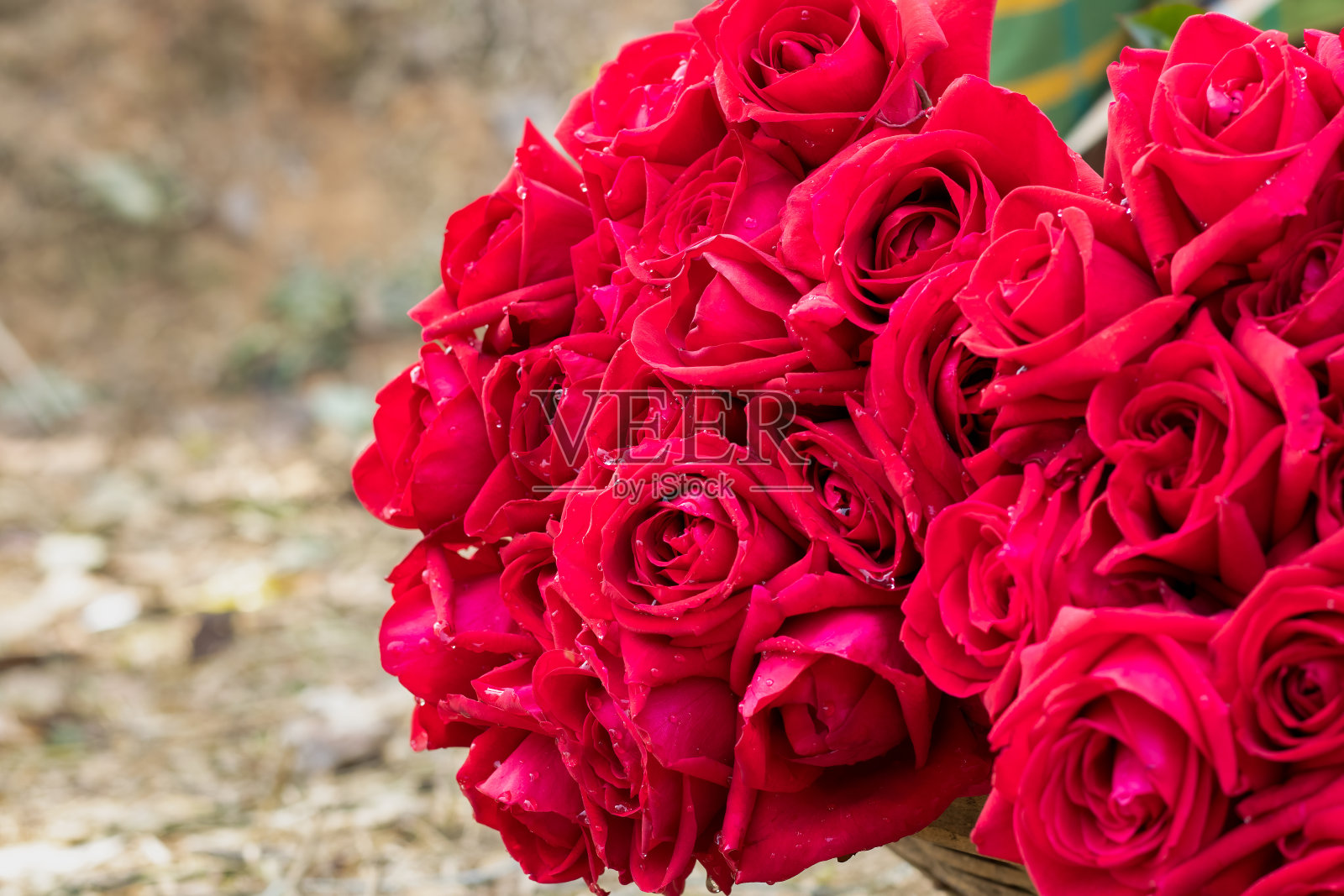 玫瑰花束在一个篮子接近复制空间照片摄影图片