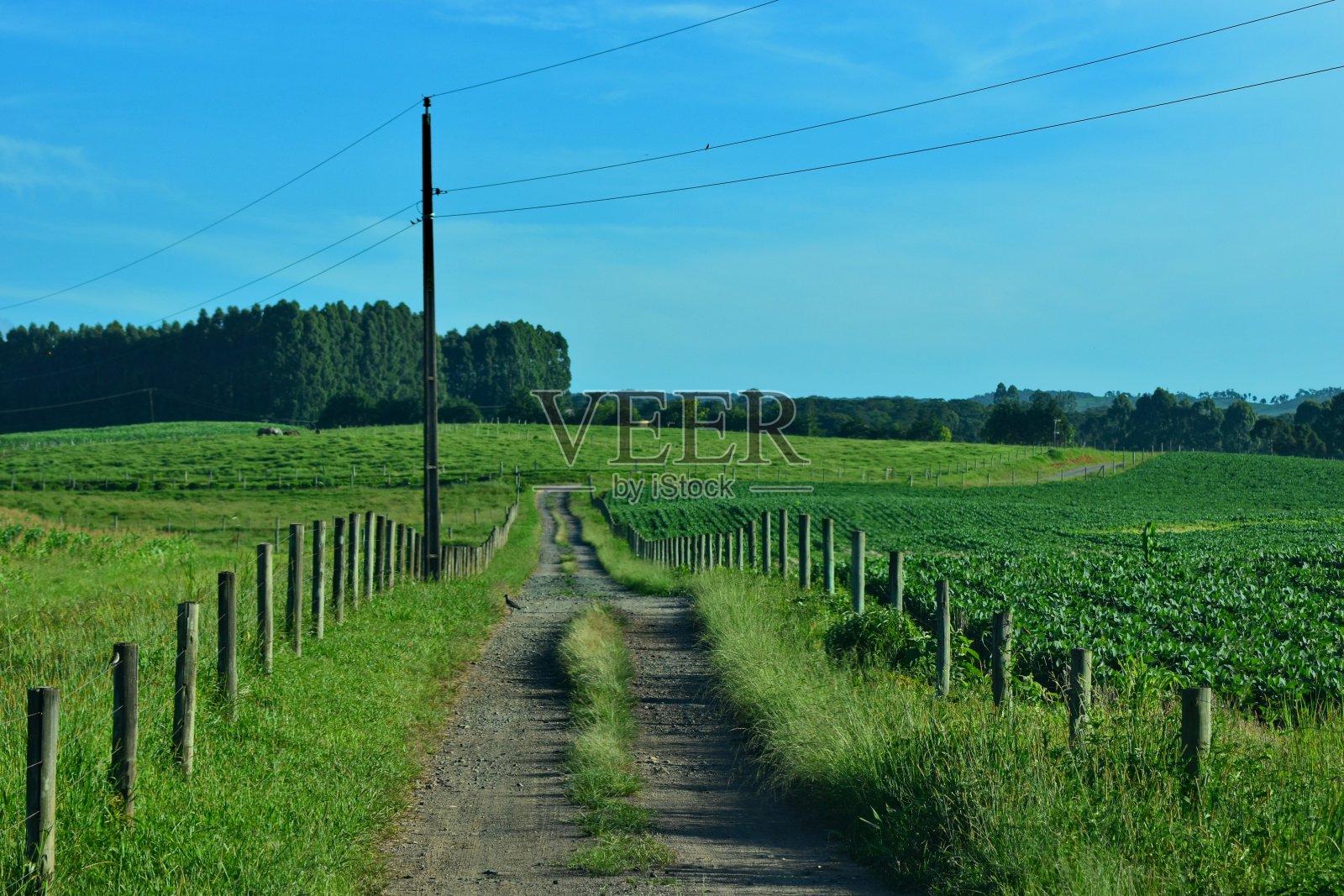 圣卡塔琳娜风景照片摄影图片