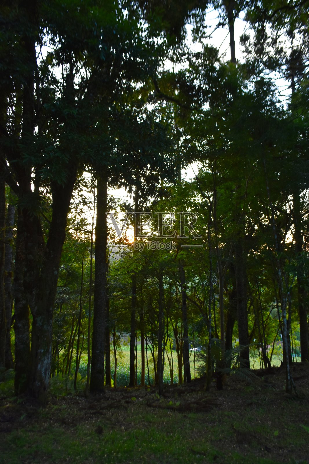 圣卡塔琳娜风景照片摄影图片