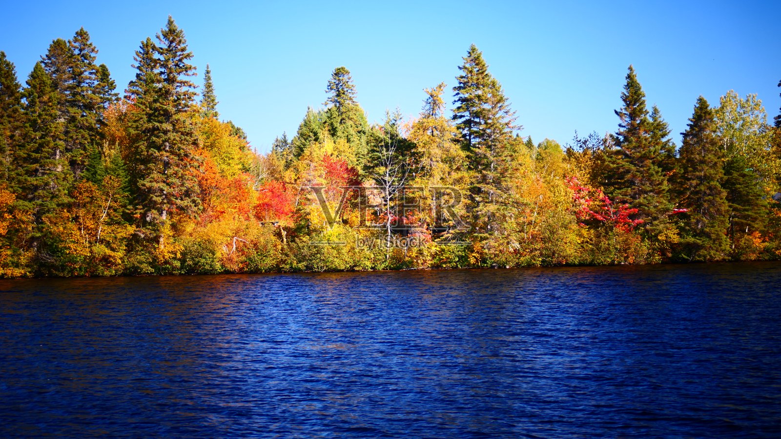 水边五颜六色的森林照片摄影图片