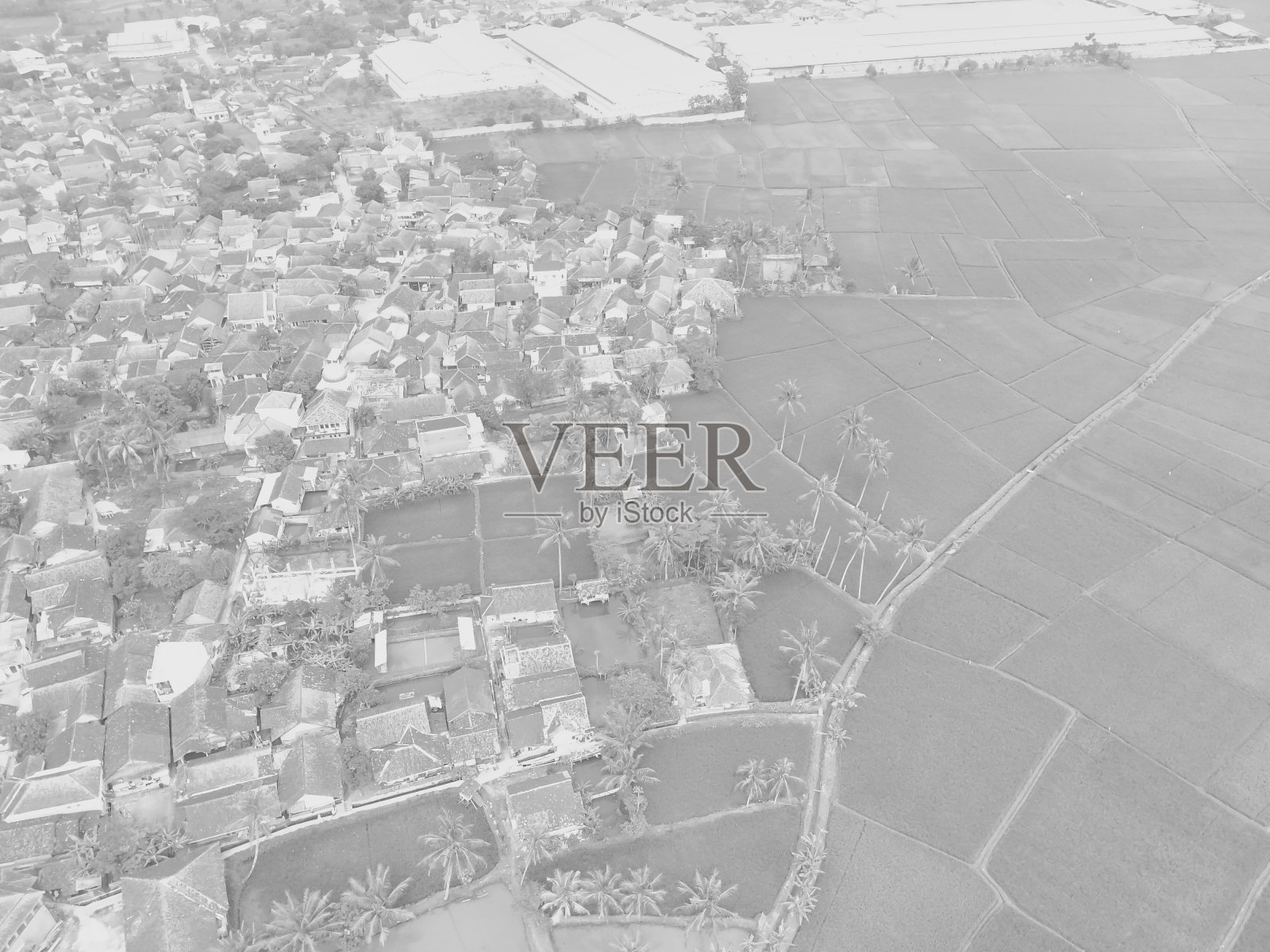 稻田边缘的乡村鸟瞰图照片摄影图片