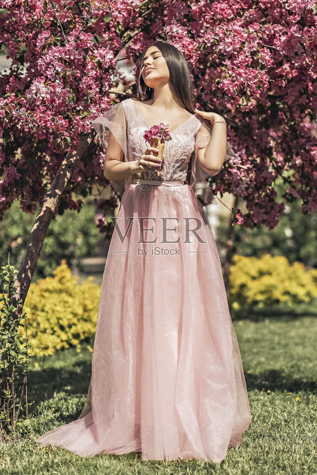 桃红花园少女树心情幸福，旅游亚洲，盛开传统季节背景四月。带花的华夫蛋筒照片摄影图片